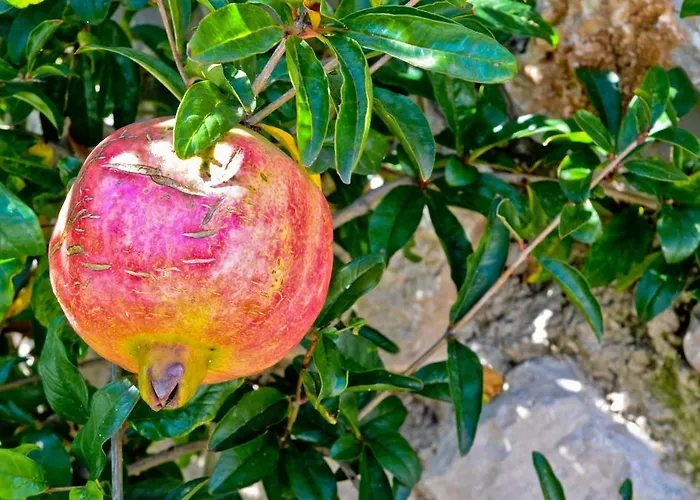 Villa Katerina's Village *