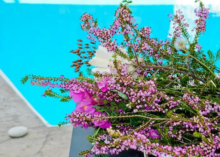 Villa Katerina's Village