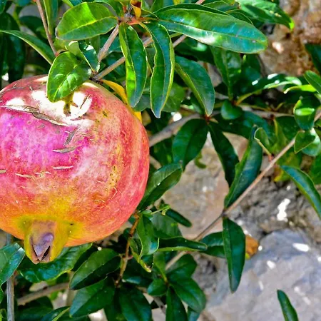 Villa Katerina's Village *